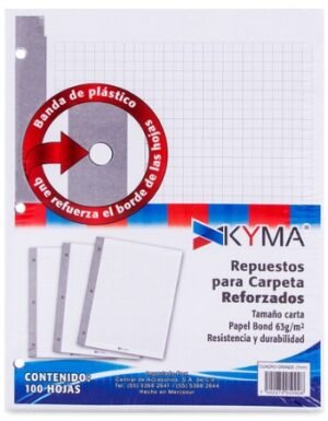 HOJAS PARA CARPETA C/GRANDE CON 100 HJS.