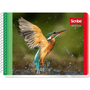 Cuaderno forma italiana SCRIBE Mega cuadro grande (7 mm) con 100 hojas